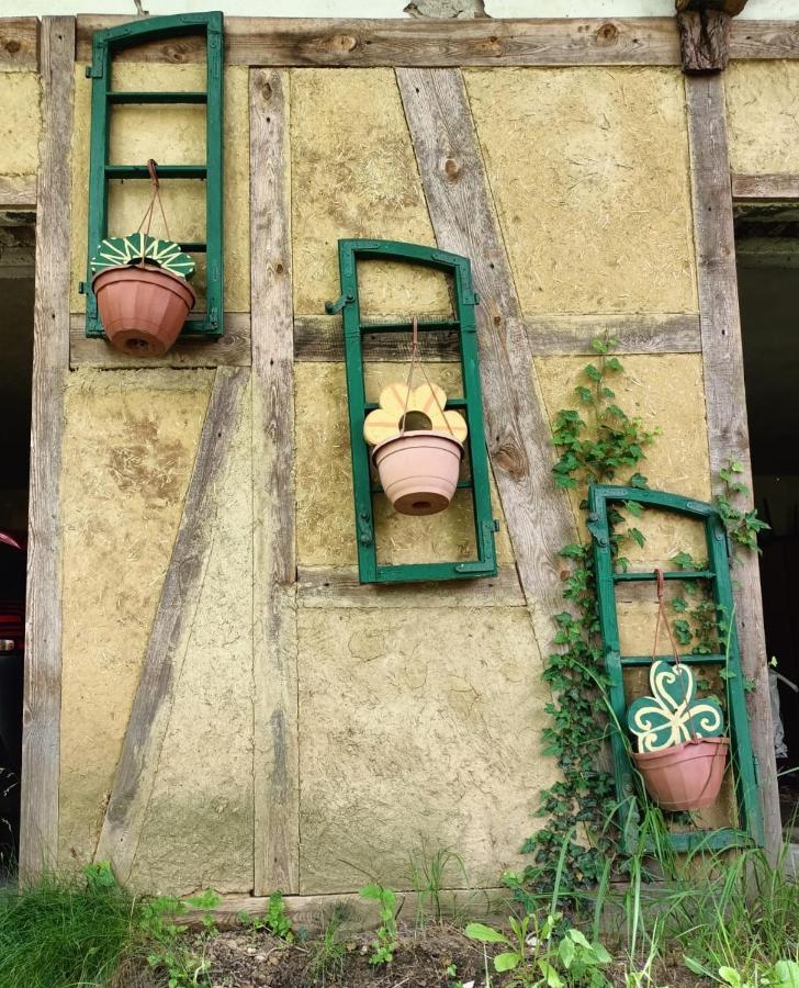 Biohof Am Turawa-See Szczedrzyk 外观 照片