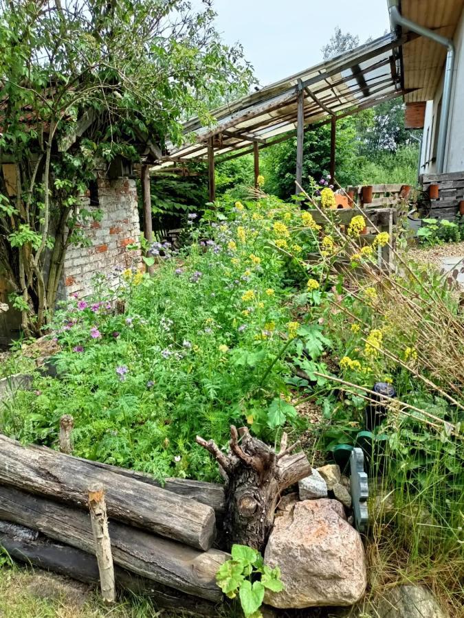 Biohof Am Turawa-See Szczedrzyk 外观 照片
