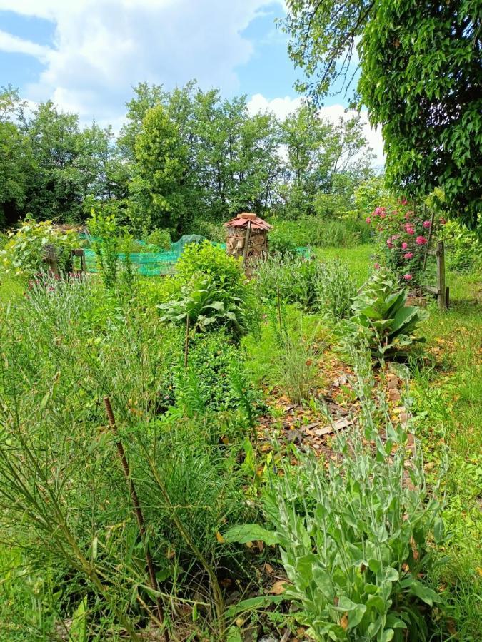 Biohof Am Turawa-See Szczedrzyk 外观 照片