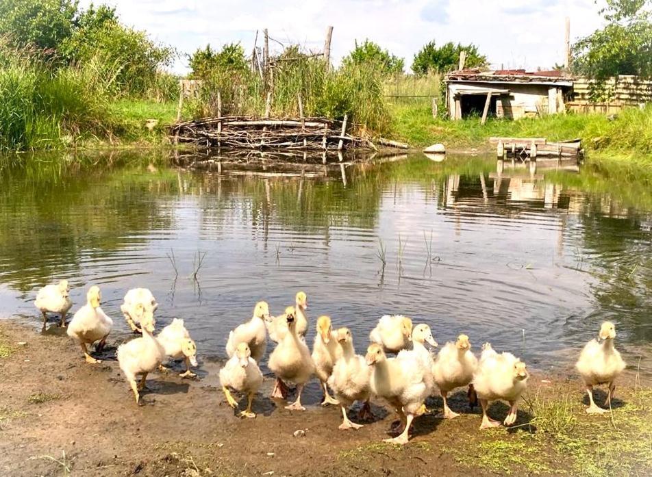 Biohof Am Turawa-See Szczedrzyk 外观 照片