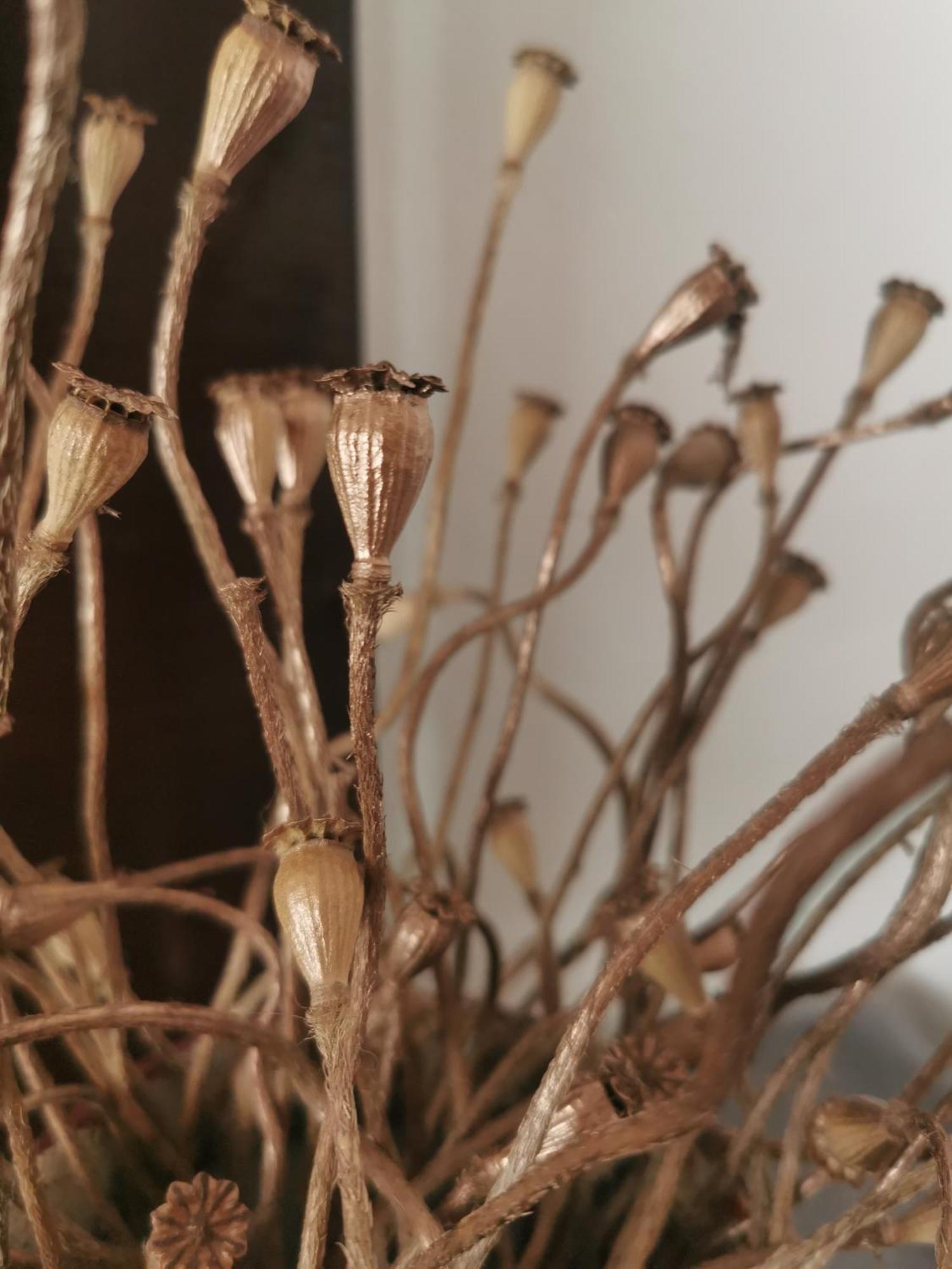 Biohof Am Turawa-See Szczedrzyk 外观 照片